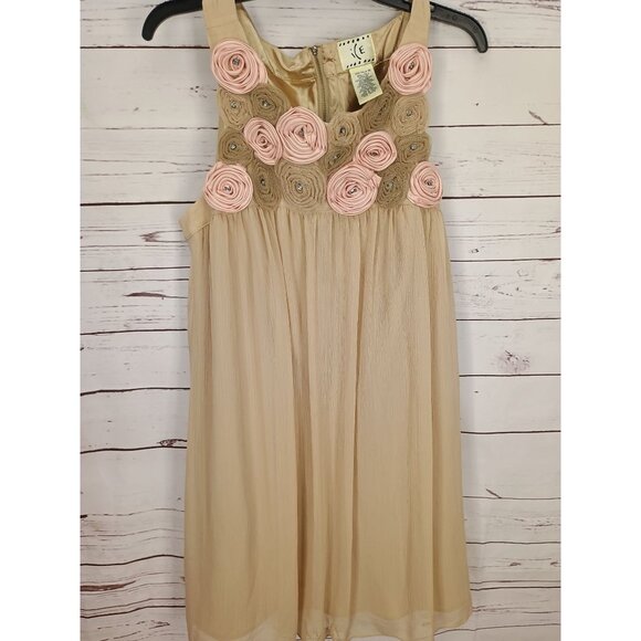 Sleeveless Beige Dress With Floral Rosette Accents & Back Zipper size 14 - Picture 8 of 8